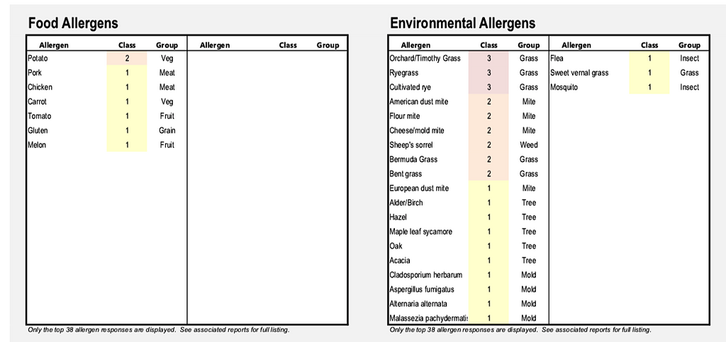 Allergic Dermatitis & Infection Panel - Canine/Feline